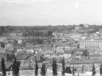 AB2.1.2 Panorama da pineta