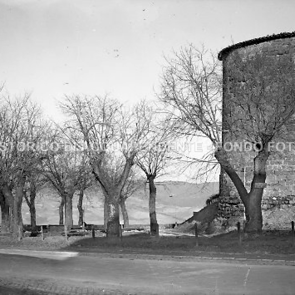 AB2.6.1 Giardinetto Porta Fiorentina