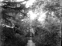 AC1.2.5 Giardino Signorile