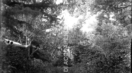 AC1.2.5 Giardino Signorile