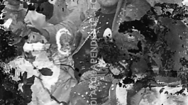 CB2.22.22 Carnevale 1960 - Mascherine