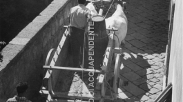 Carro di buoi in Via Poggio Graziano